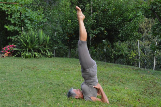 Salamba Sarvangasana-